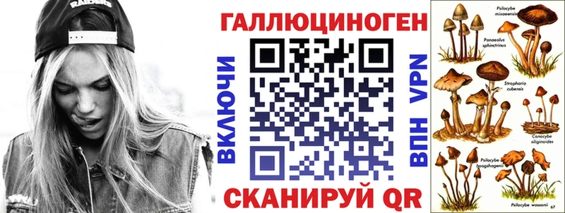Псилоцибиновые грибы Psilocybine cubensis  Усолье 